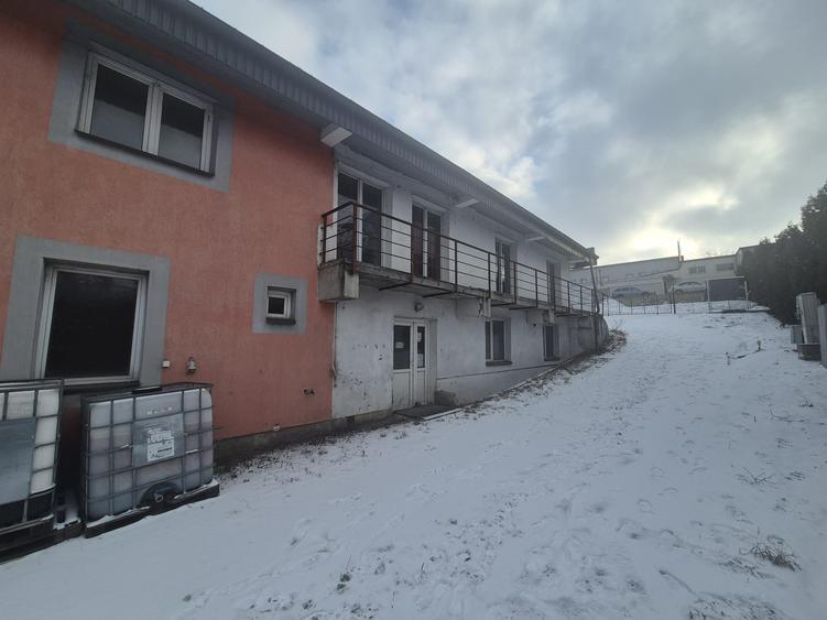 Spațiu comercial zona Traian Vuia de vânzare