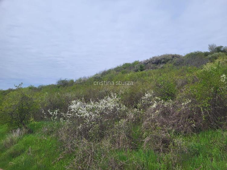 Vanzare teren 35.000mp Stefanesti -Arges-Comision 0% - 5