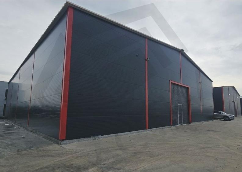 Hale de inchiriat, 595 mp, depozitare/logistica, Centura (DNCB), A2. Ocazie!