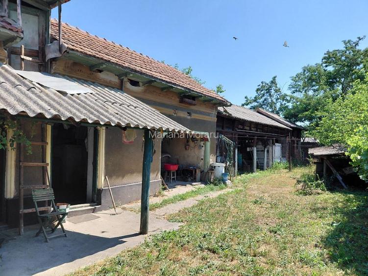 Vanzare casa si curte - 3