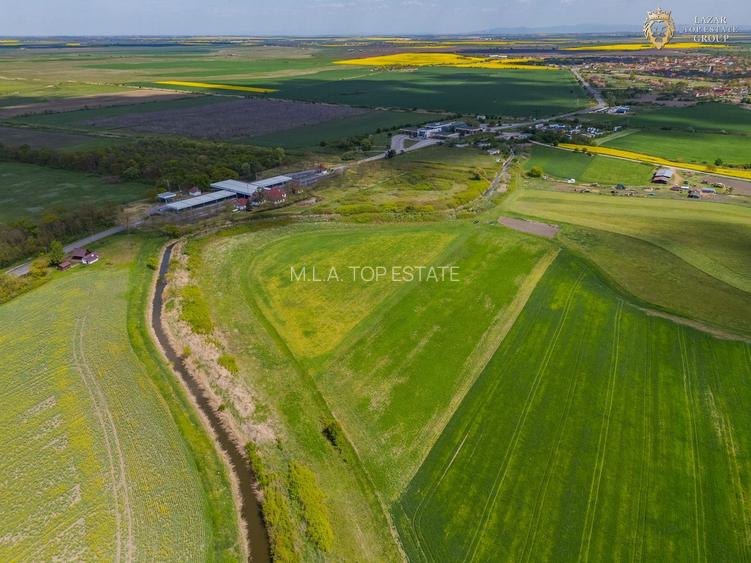 Teren Extravilan localitatea Turnu - 7