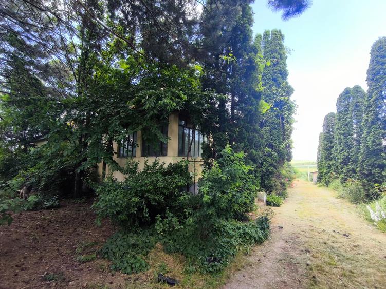 DE VÂNZARE – Domeniu cu casă, teren și afacere zootehnică avicolă în Dochia, NT