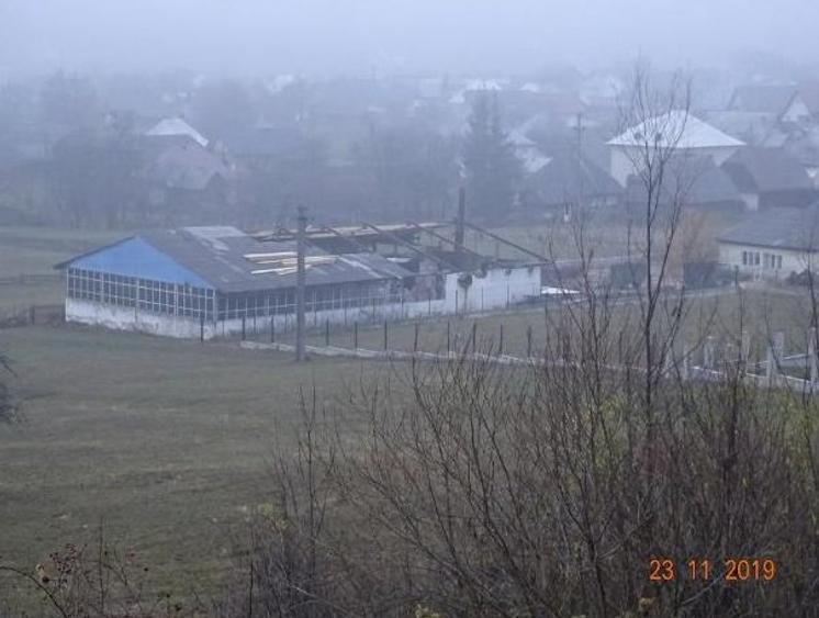 Teren intravilan 1.000 mp + hala debitare si hala prelucrare lemn