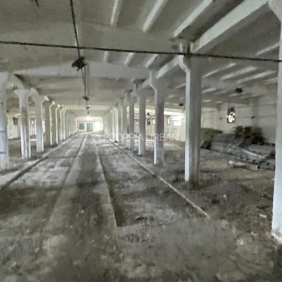Complex industrial/Ferma de vânzare | Orțișoara, jud. Timiș - 28