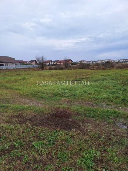 OFERTA!!! 720mp in Dumbravita -Ikea... 150 euro/mp - 2