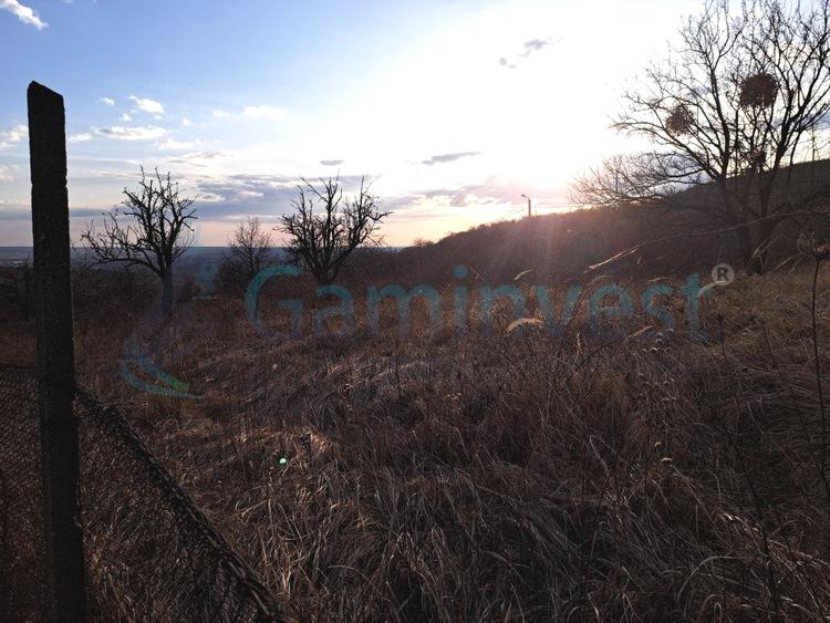 Teren intravilan de 3250 mp in Podgoria, de vanzare, Bihor