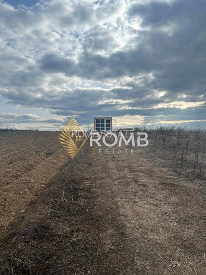 Teren extravilan 3932 MP, Dangaul Mare, zona centrală