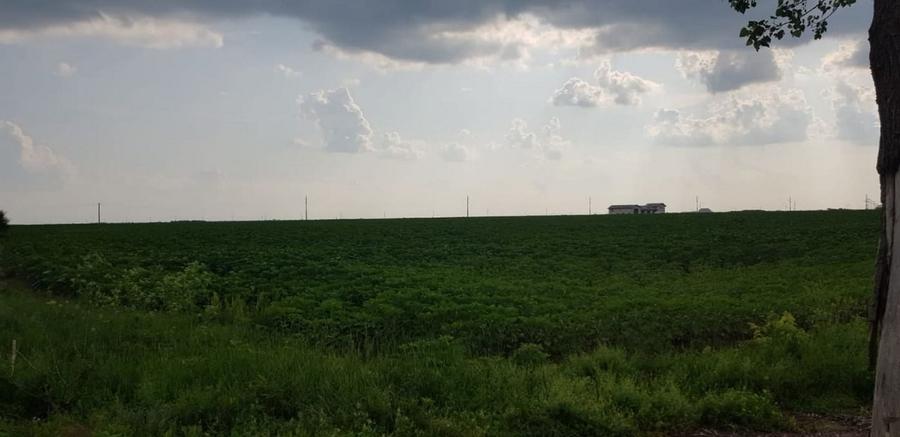 DN4-Bucuresti -Popesti Leordeni ,teren 80.000 mp, intravilan