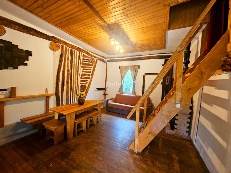Poiană privată, pădure și cabană | Proprietate cu potențial turistic - 6