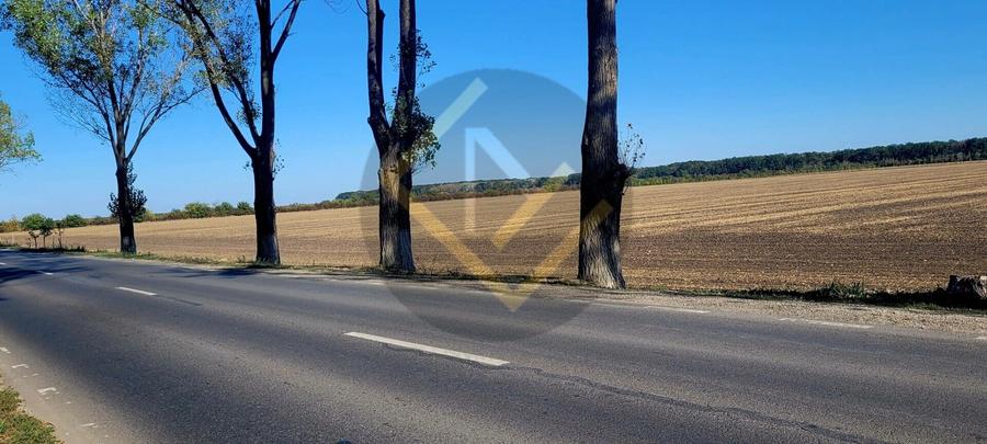 Vanzare teren Buftea TAMAS acces Autostrada A0 si Centura ocolitoare Buftea