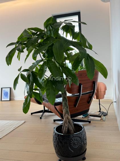 Vanzare apartament 3 camere  tip penthouse- Lux - Nusco - 17