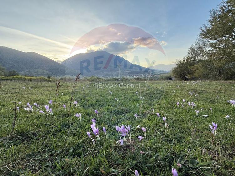 Teren 646mp intre Bran si Zarnesti (Tohanita,) intravilan - 17