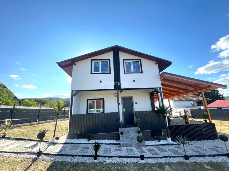 Surduc lake house 574 - 3