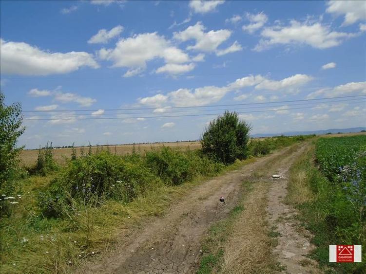 Teren la centura de nord