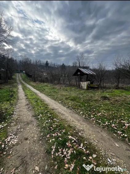 Teren intravilan 5000mp + casa Brabova