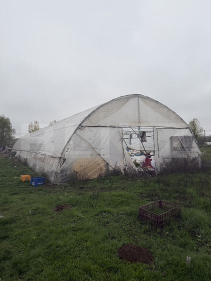 Teren intravilan agricol, sere, anexa agricola, 11500 mp teren, Sopot