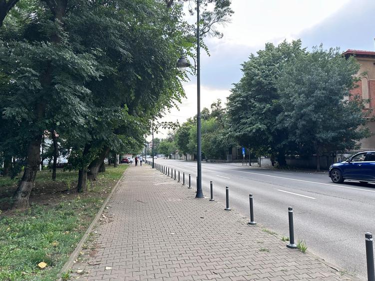 Vila individuala cu garaj și curte