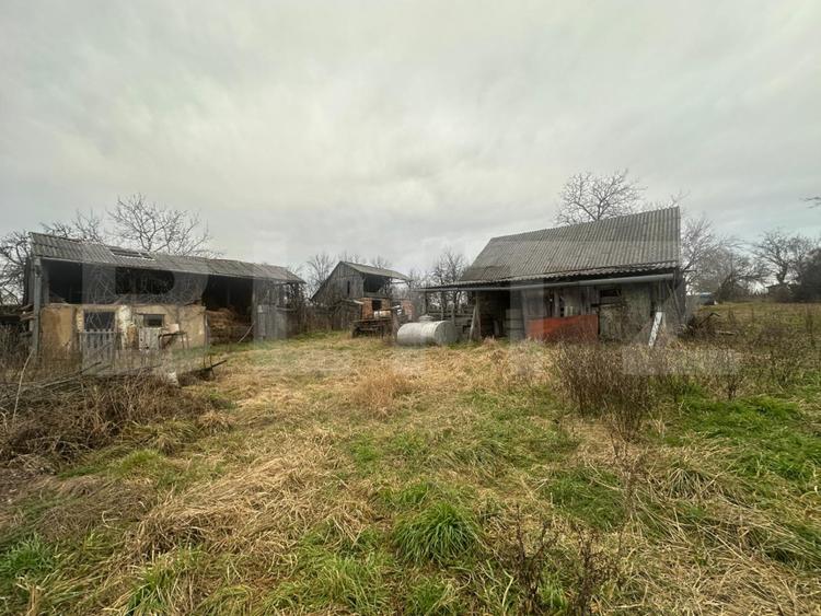 Casă cu teren generos de 6000 mp în Viile Satu Mare – zonă liniștită