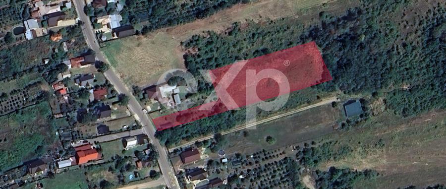 Teren 5.000 mp de vânzare – Zona Dealu Viilor (Mosoaia), cadru natural