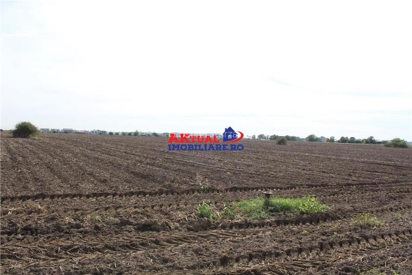 Teren de vanzare Balotesti,Stradal -Residentiale sau Comercial-cu toate utilitat - 5