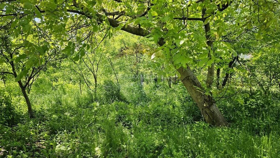 Casă / Vilă în zona Zamca, Suceava - 26