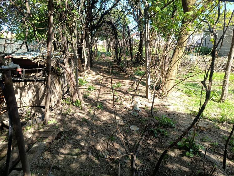 Casă renovabilă cu teren 2000 mp | 2 fronturi | Potențial investiție Sebeș