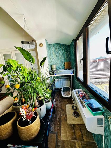 Apartament 3 camere + 1 birou,  Cotroceni, curte si gradina, metrou Eroilor