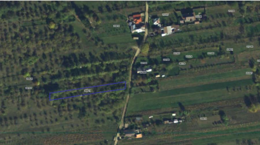 Teren Maneciu-Pamanteni, Jud. Prahova