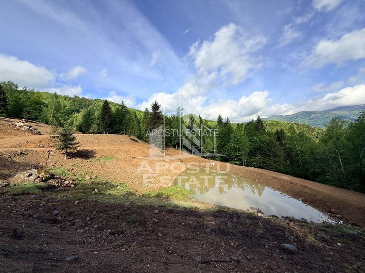 Oportunitate! Domeniu montan, cu lac propriu, oras Lupeni, Hunedoara - 55