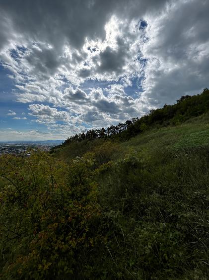 Teren Piatra Neamt , zona Fermelor - strada Smaraldului