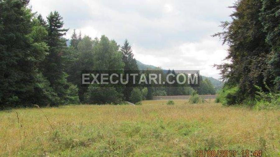 TIMISUL DE JOS TEREN INTRAVILAN 21,000 MP IDEAL HOTEL