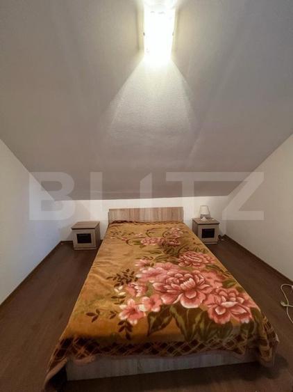 2 CASE, 300mp/700mp, teren 30 ari, zona strada Botizului