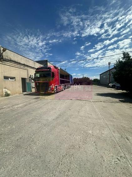 Hale industriale cu parcari multiple Bragadiru Sos Alexandriei stradal - 14