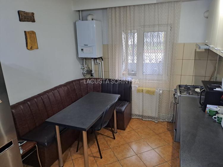 Salaj - Parc Pecineaga, centrala proprie, amenajat, mobilat, utilat, boxa - 6