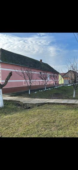 Vând casa cu teren mare in Sântana județul Arad - 2