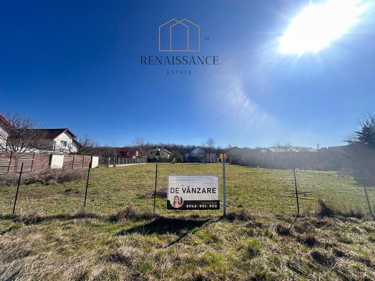 Dumbravita Teren Intravilan 1466mp Front 29m | Langa Padure