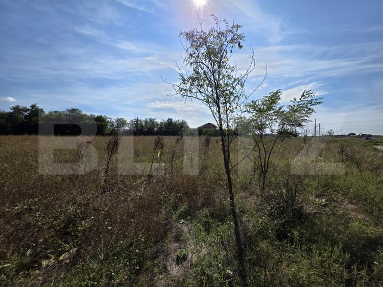 Teren de vanzare, 4 hectare, zona Exterior Vest