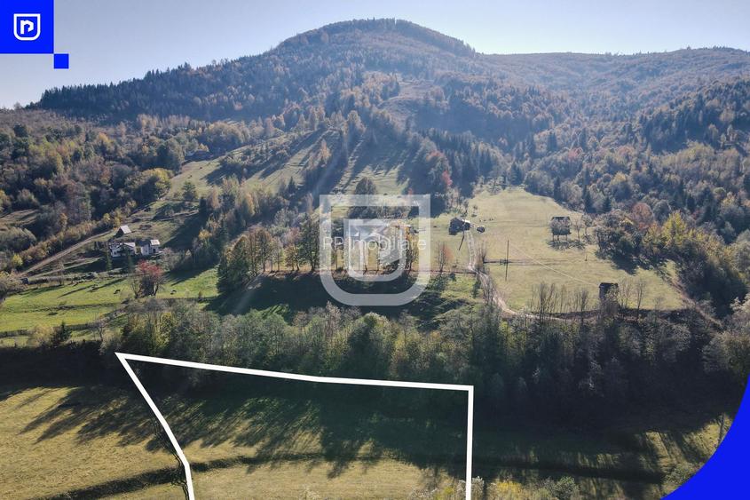 Teren situat in Vama  | BUCOVINA | 6€ mp - 5