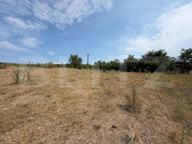 Teren extravilan de vanzare, 60402 mp, zona Archia