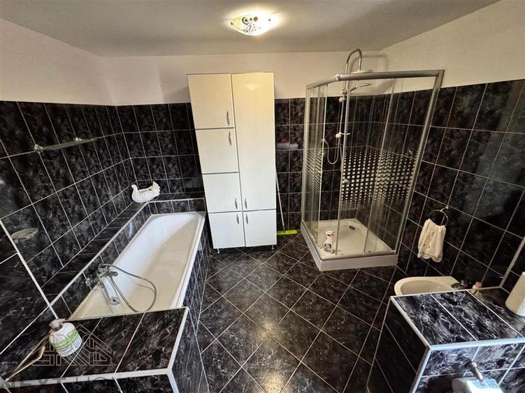 CASA DE VANZARE PANCIU