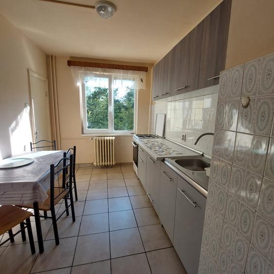 Apartament 3 camere mobilat si utilat complet Central-Parcul Botanic