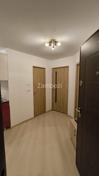 zona Simion Barnutiu, decomandat,centrala proprie, renovat, mobilat modern - 10