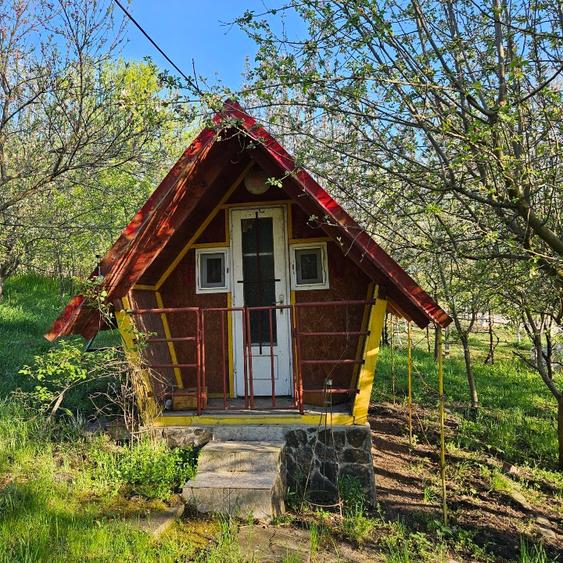 Proprietate 4200 mp Căndărăi cu cabană, livadă și anexe