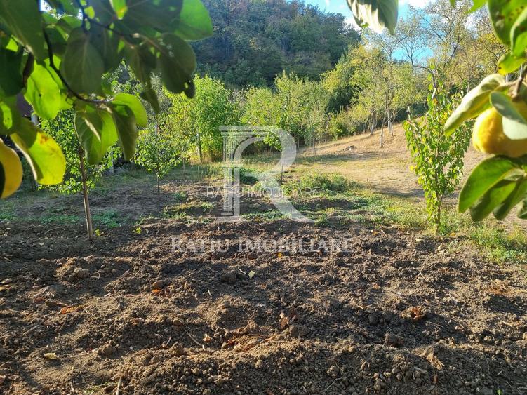 Casă renovata cu teren generos | Anexe | Gurasada | Hunedoara - 43
