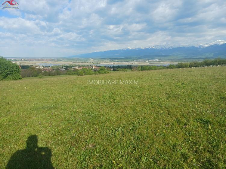 Teren extravilan Bradu - zona cu panorama superba - 7