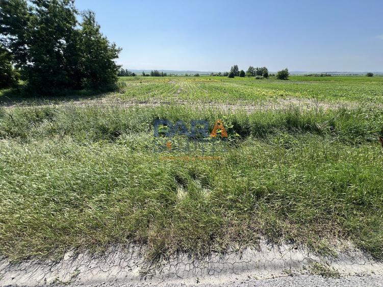 Teren 9969 mp, situat la E85, între două intrări pe autostrada A7