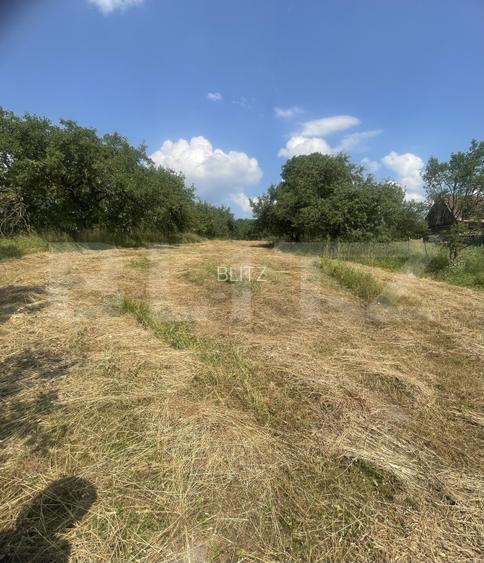 Teren intravilan 3.200 mp | Budacu de Jos | Deschidere la 2 drumuri asfaltate - 5