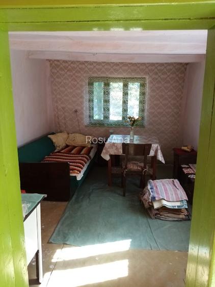 Vand casa cu 3 camere in Zerindul Mic Comuna Misca Jud ARad - 5