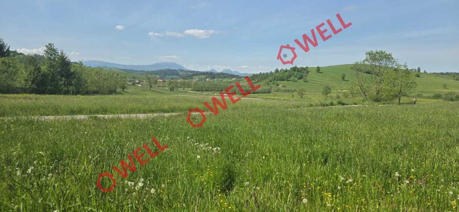 Teren de vânzare în Bărcani, pe strada Bisericii!