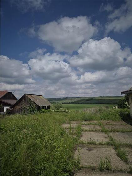 Teren intravilan Moara Nica - 1950 mp